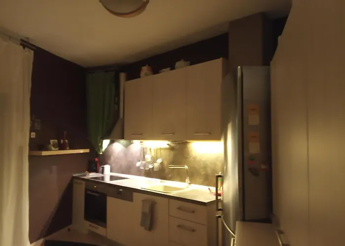 Spacious Cosy Apartment